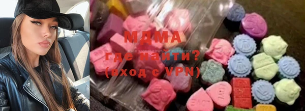 гашик Алексин