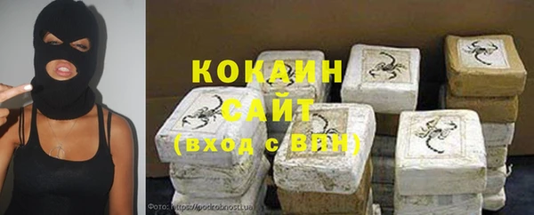 гашик Алексин
