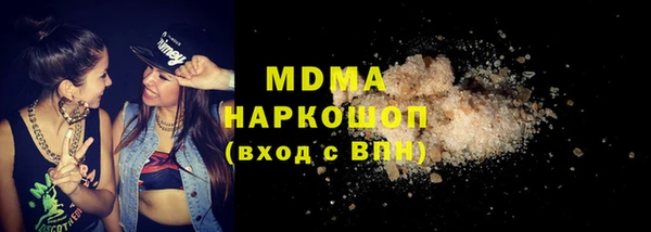 гашик Алексин
