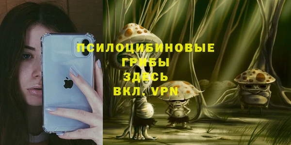 гашик Алексин