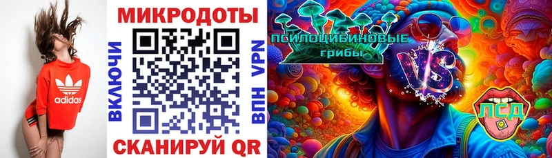 Псилоцибиновые грибы прущие грибы купить Дудинка