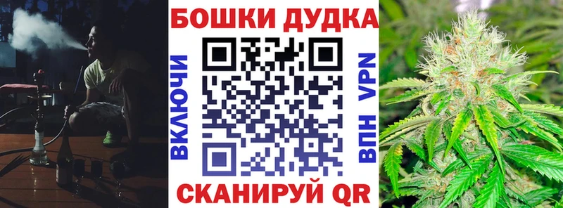 Бошки марихуана семена  мега рабочий сайт  Дудинка 